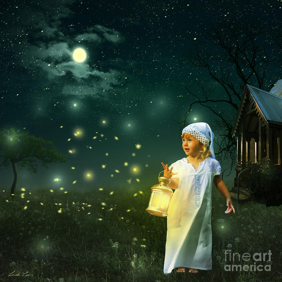 Fireflies Digital Art by Linda Lees - Pixels