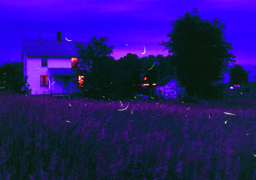 Fireflies Over A Farmyard In Iowa Photograph by Keith Kent/science Photo Library Fine Art America