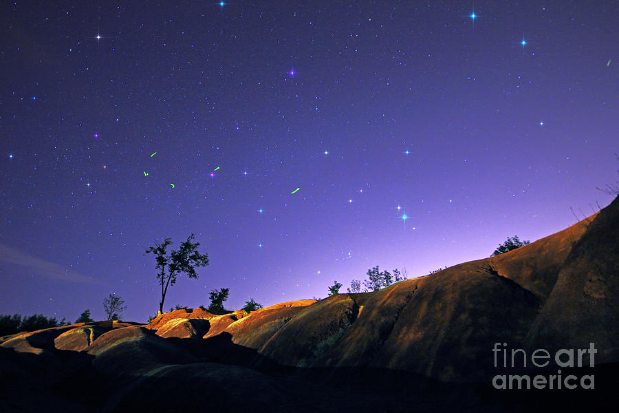 Fireflies Under Starry Sky Photograph by Charline Xia