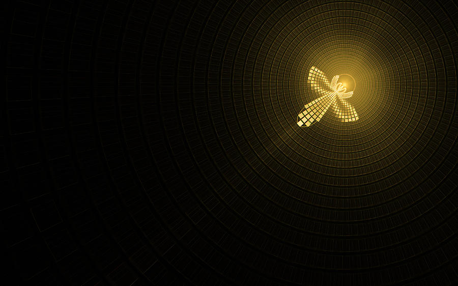 Firefly 2 Digital Art by Gary Blackman