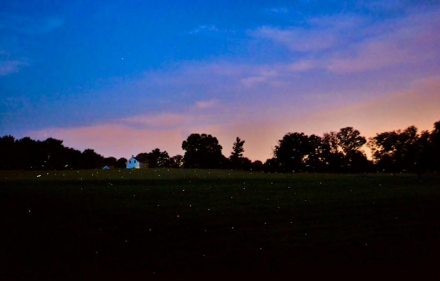 Firefly Fields Photograph by Art Dingo