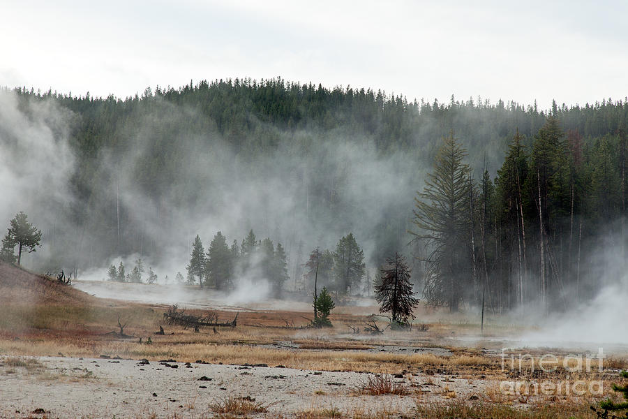 Firehole Lake Drive in Yellowstone National Park Photograph by Fred Stearns