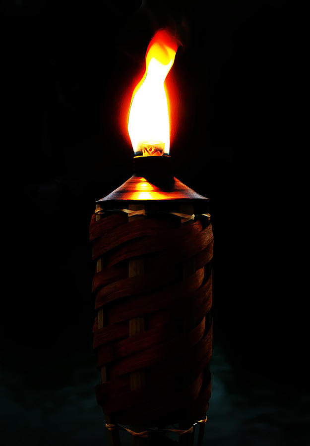 Firelight Digital Art by Kara  Stewart