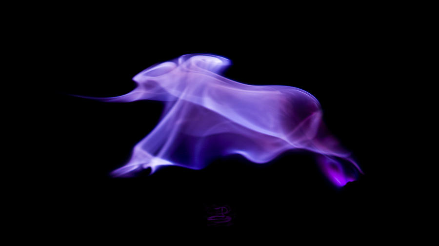 Firephant Photograph by Steven Poulton