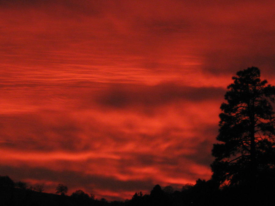 Red Sunset Photograph - Firery Sky by Debra Madonna