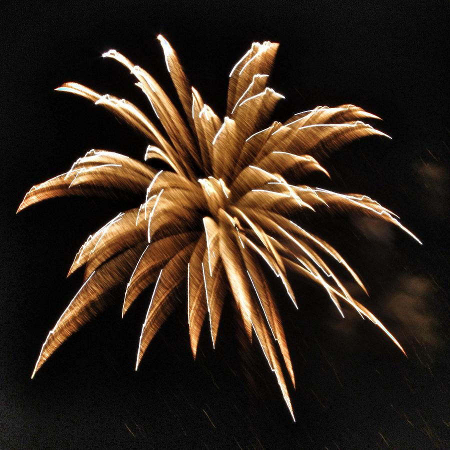 Firework Abstract - Golden Brown Photograph by Marianna Mills