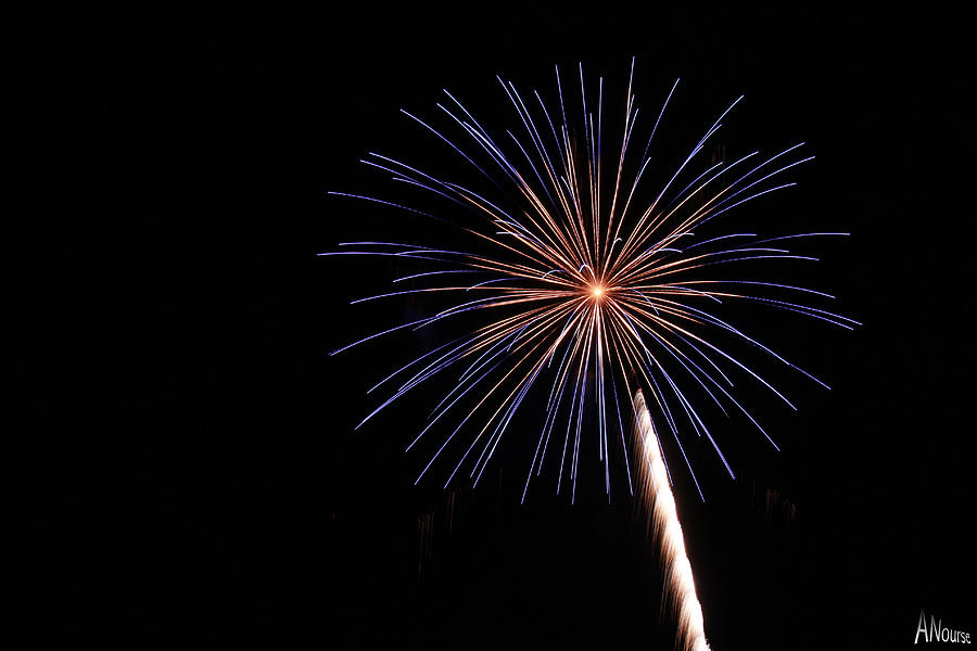 Firework Photograph by Andrew Nourse