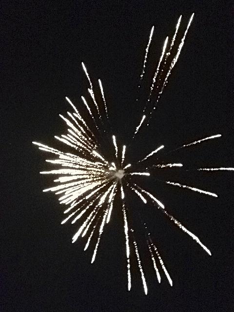 Fourth Of July Photograph - Firework by Gina Concilio