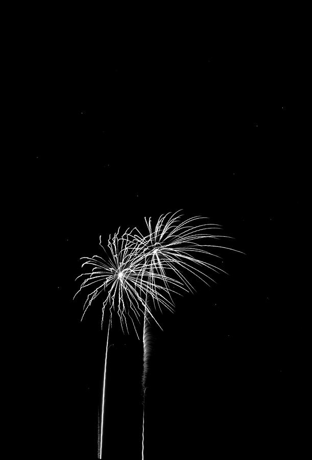 Abstract Photograph - Firework Palm Trees by Darryl Dalton