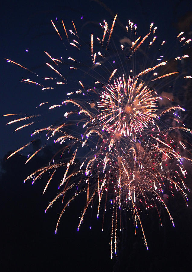 Independence Day Photograph - Fireworks 2014 IX by Suzanne Gaff