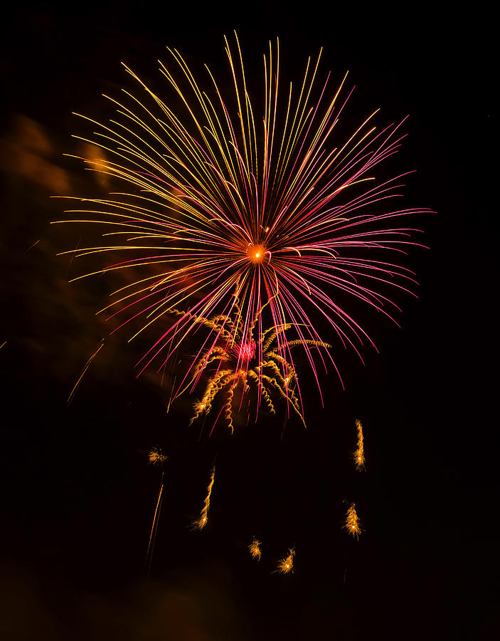 Fireworks 6 Photograph by Flees Photos