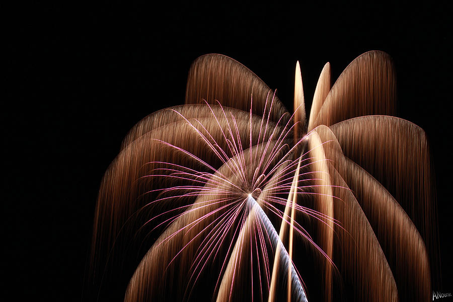 Fireworks 8 Photograph by Andrew Nourse