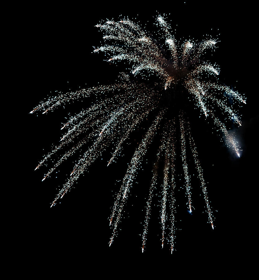 Fireworks Bloom Photograph by Greg Nyquist