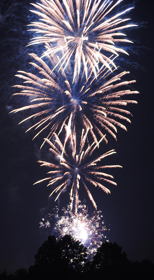 Fireworks Blossoms Photograph by Glory Ann Penington