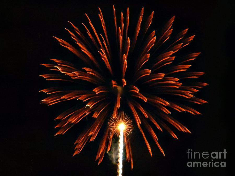 Fireworks Burst Photograph by Michelle Frizzell-Thompson