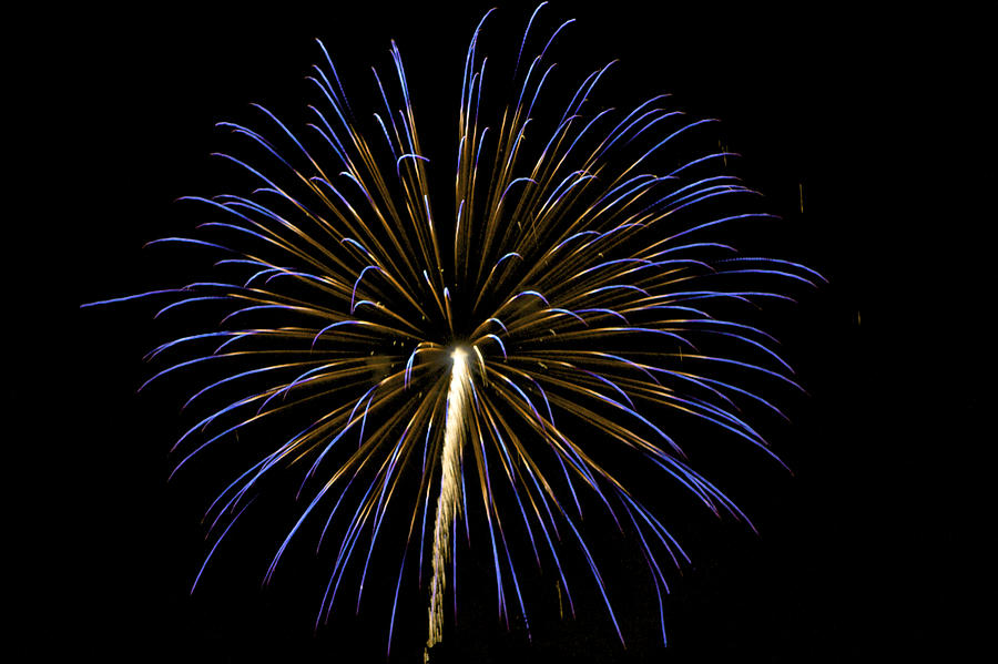 Fireworks bursts colors and shapes 3 Photograph by SC Heffner