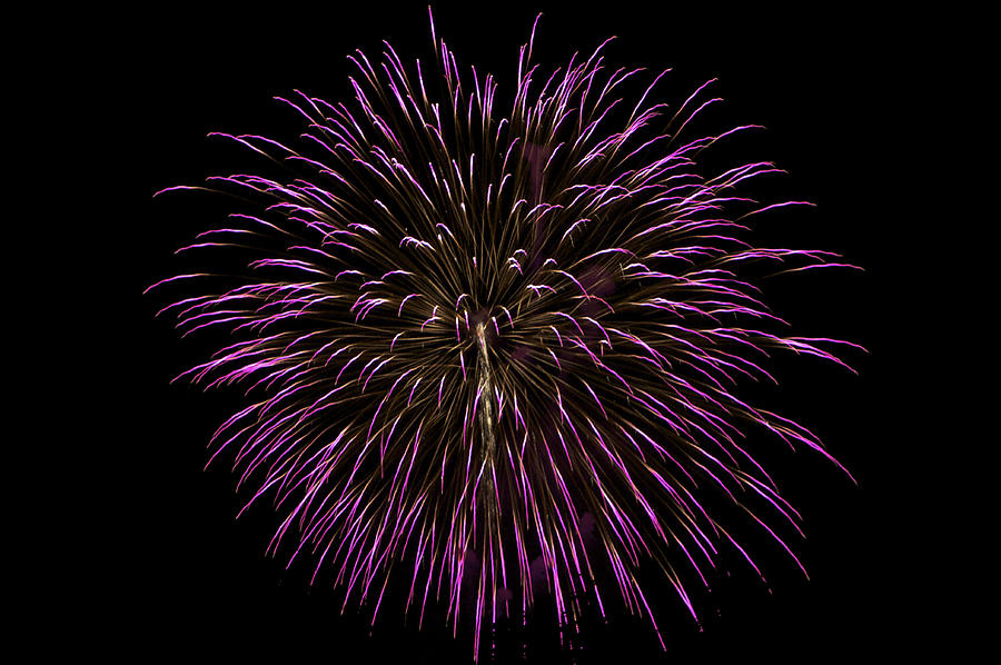 Fireworks bursts colors and shapes 5 Photograph by SC Heffner