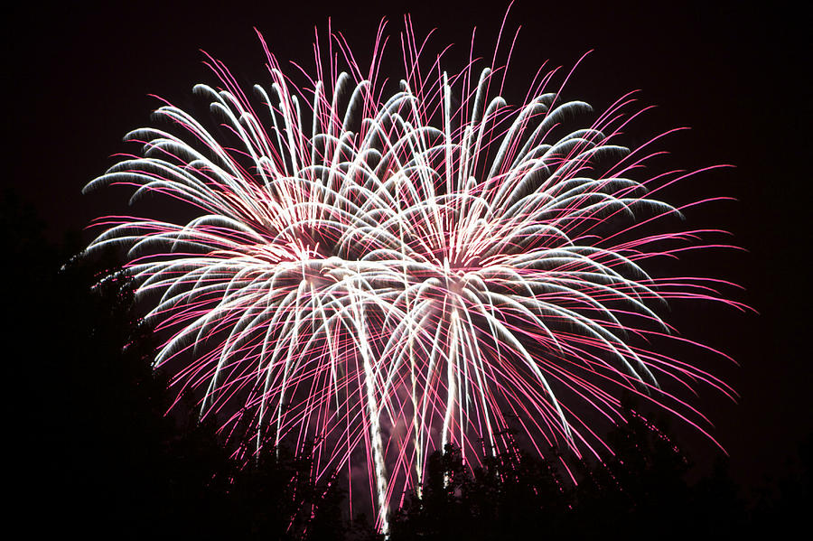 Fireworks bursts colors and shapes 7 Photograph by SC Heffner