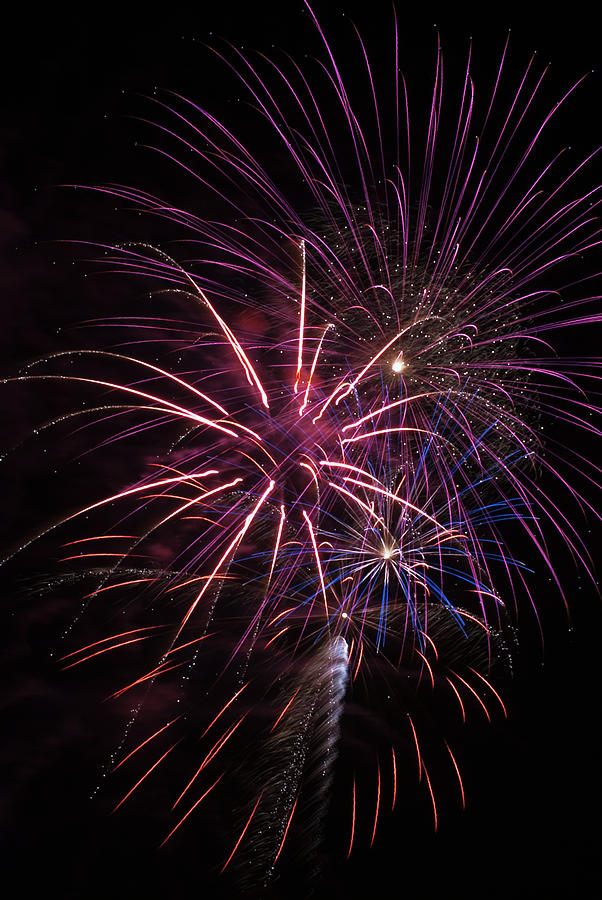 Fireworks Display Astoria, Oregon Photograph by Robert L. Potts Fine