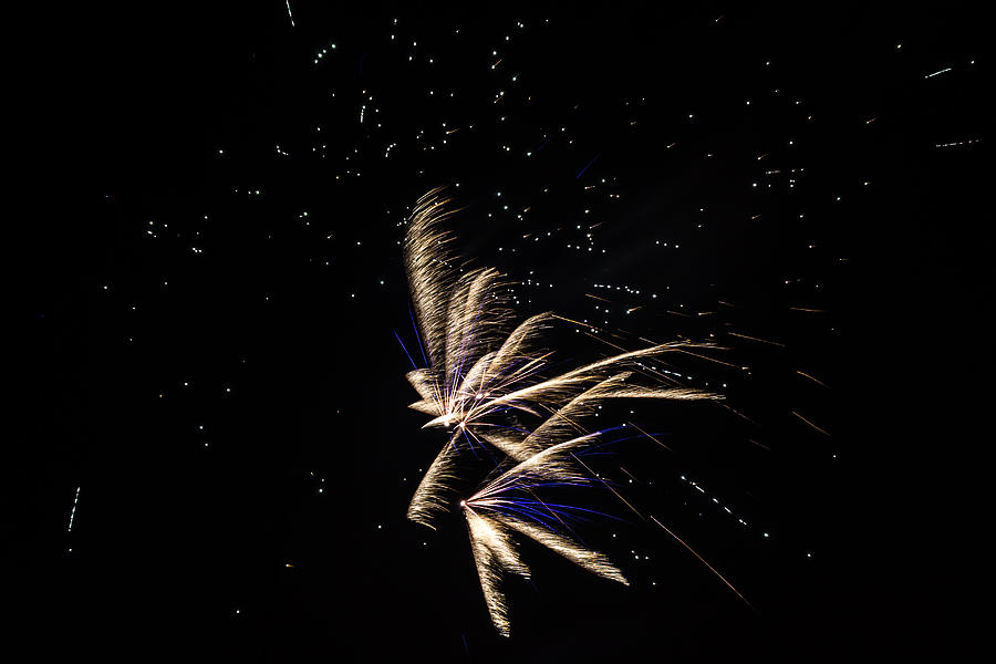 Fireworks - Dragonflies in the Stars Photograph by Scott Lyons