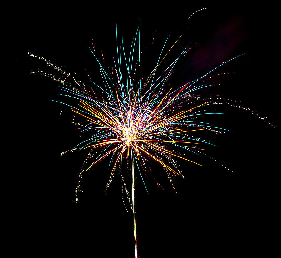 Fireworks - Explosive Flower Photograph by Scott Lyons