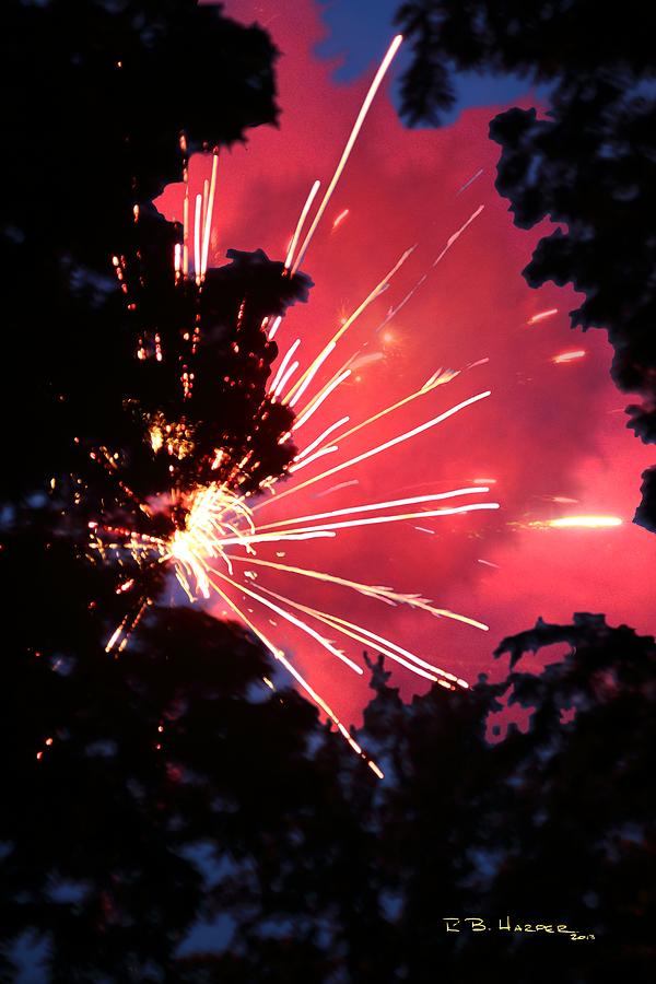 Fireworks Forest Photograph by R B Harper