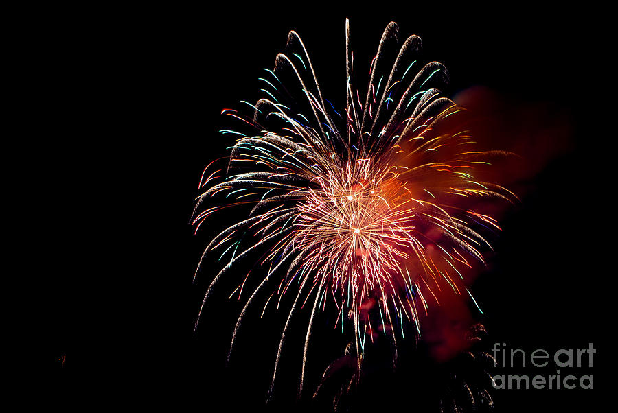 Fireworks Photograph by Grace Grogan