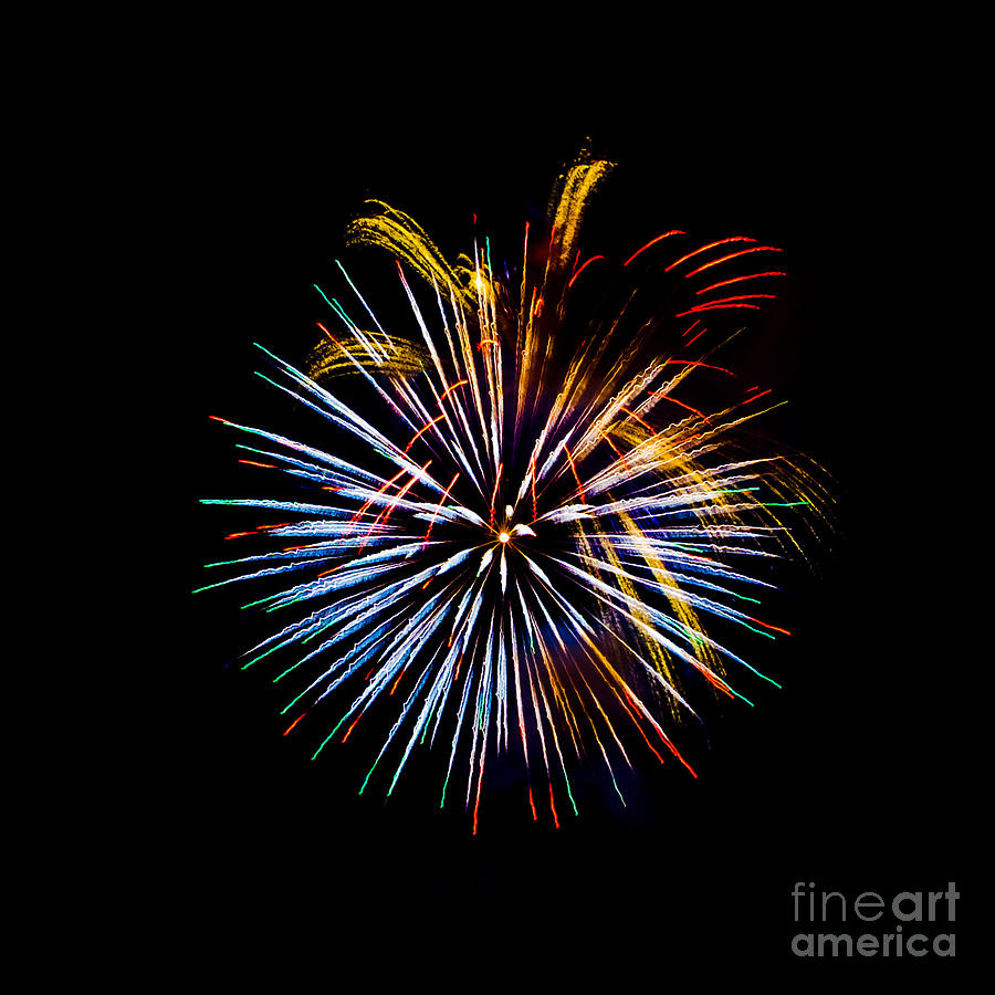 Fireworks in Multi-Color Photograph by Grace Grogan