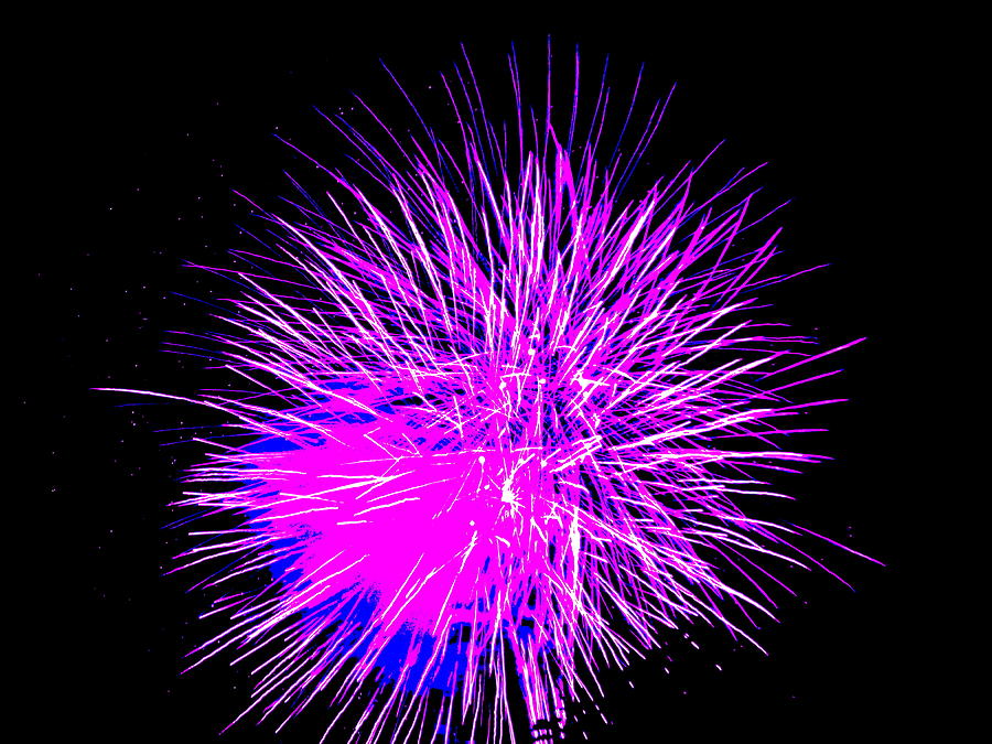 Fireworks in Purple Photograph by Michael Porchik