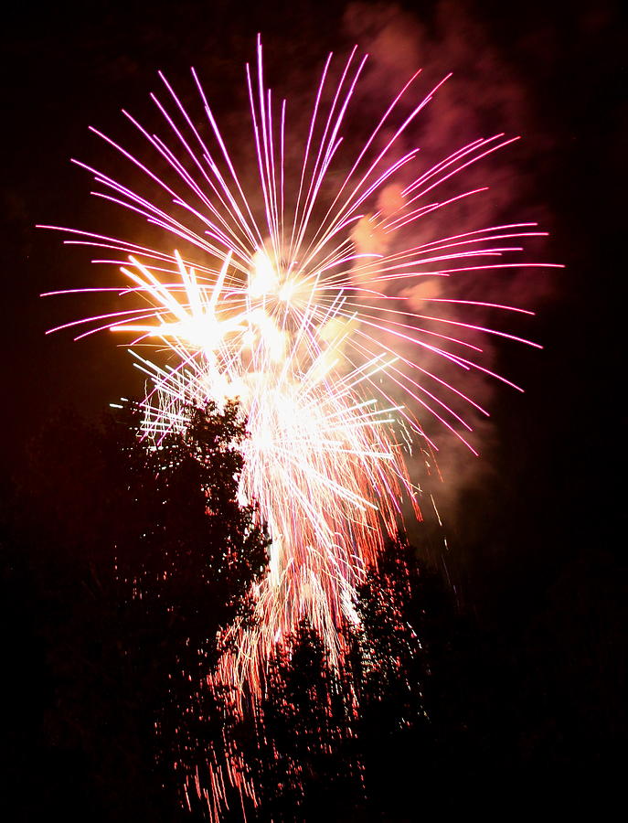 Fireworks in the tree Photograph by Andy Wingerd | Pixels