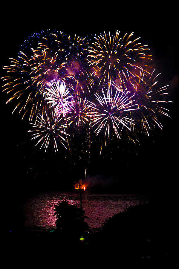 Fireworks  Photograph by Kent Nancollas