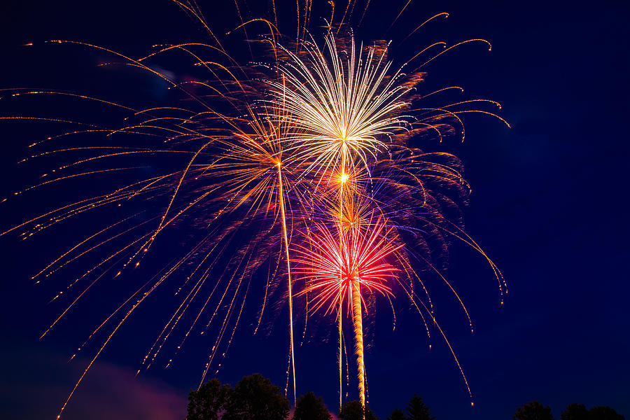Fireworks Over The Pines Photograph