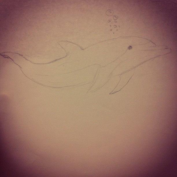 First Attempt At A Dolphin. /: Photograph by Madison Clark