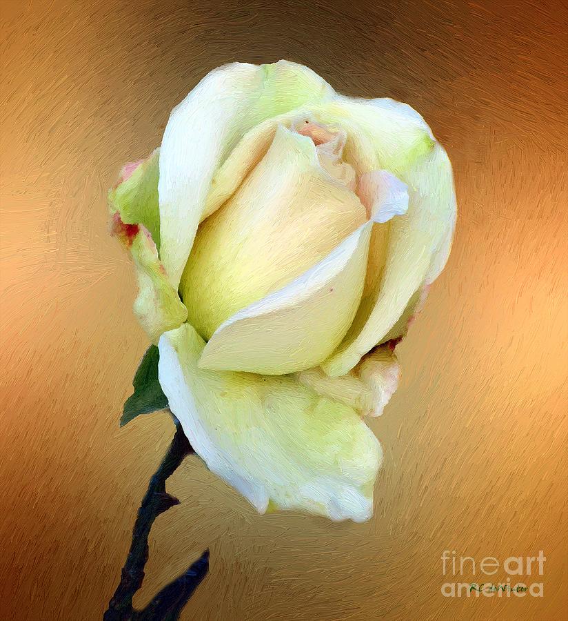 First Blush Unfolding Painting by RC DeWinter