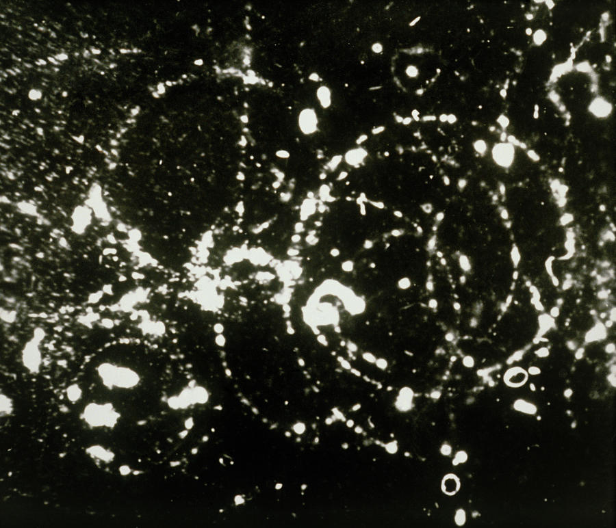 First Cloud Chamber Image Of A Cosmic Ray Photograph by Prof. D ...