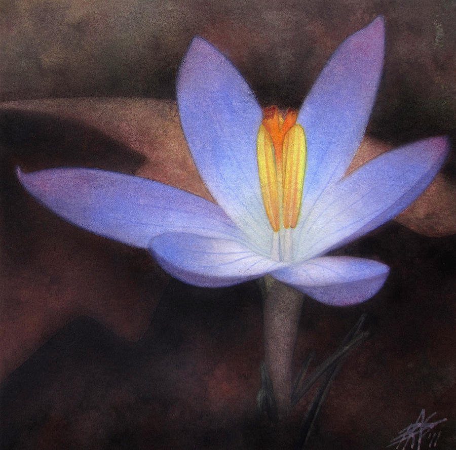 Spring Painting - First Crocus by Robin Street-Morris