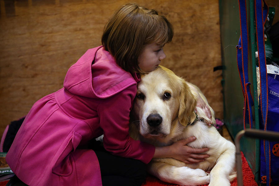 First Day Of Crufts 2015 Photograph by Carl Court First Day Of Crufts 2015 Photograph by Carl Court