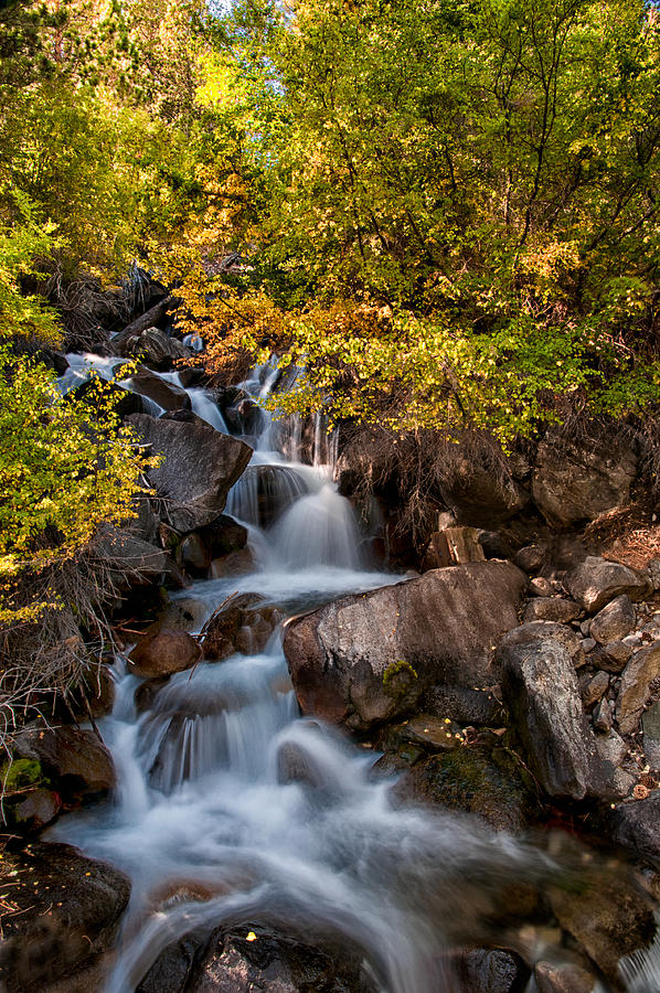 Fall Photograph - First Falls by Cat Connor