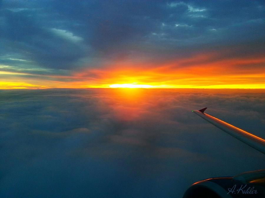 First Flight of Dawn Photograph by Anna Kohler