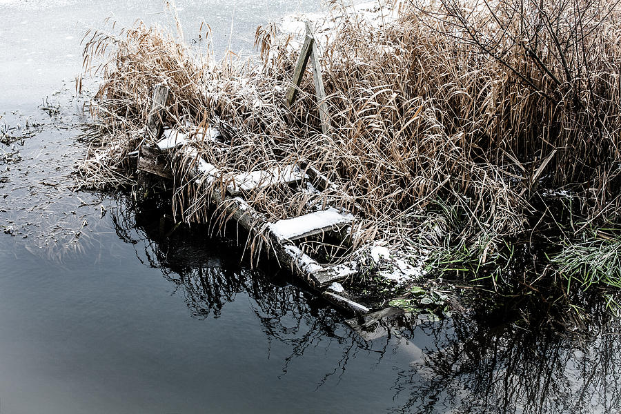 First frost Photograph by Sviatlana Kandybovich