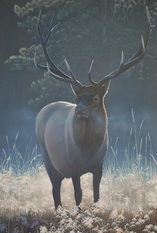 Yellowstone National Park Painting - First Light - Bull Elk by Peter Mathios