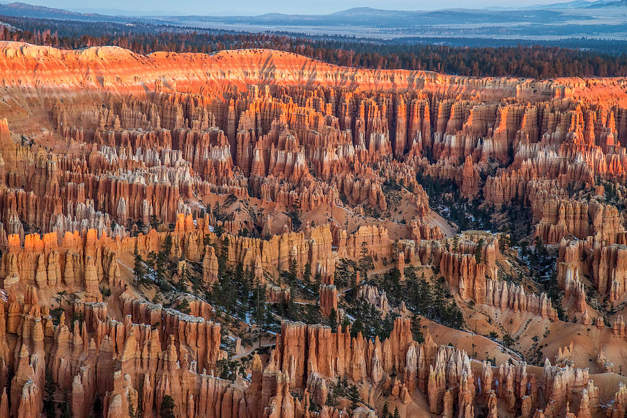 First light in Bryce Photograph by Pierre Leclerc Photography