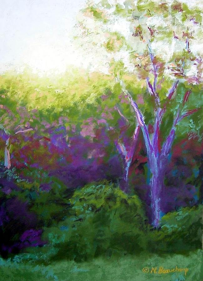 First Light Pastel by Nancy Beauchamp
