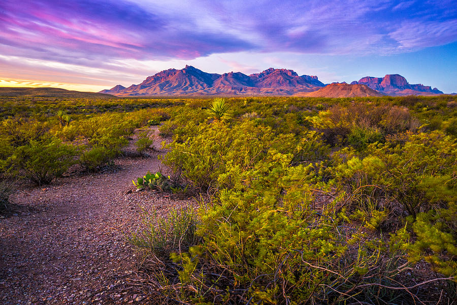 First Light on Chisos Mountains Big Bend National Park Photograph by Photography by Deb Snelson