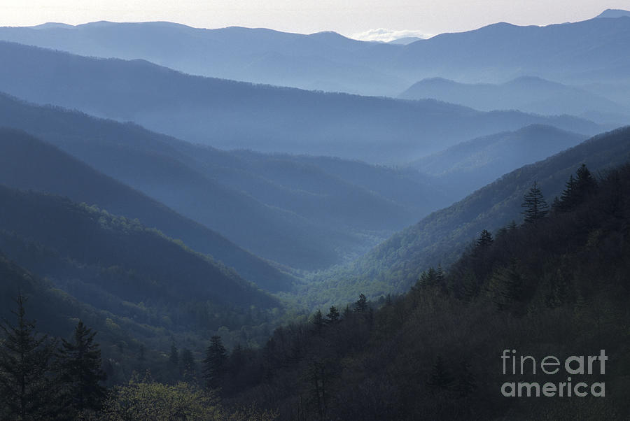Mountain Photograph - First Light on Clingmans Dome by Sandra Bronstein
