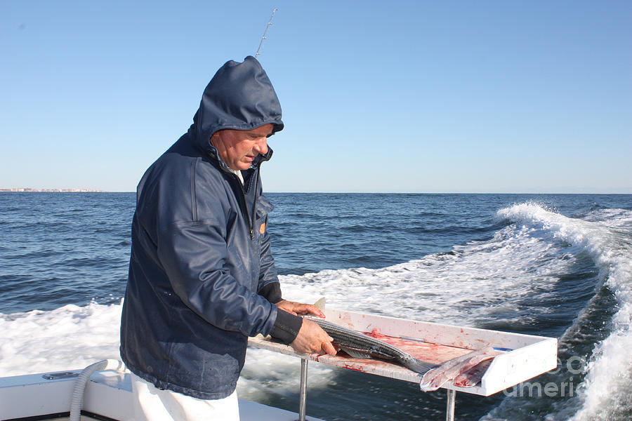 First Mate Filleting Fish Photograph by John Telfer