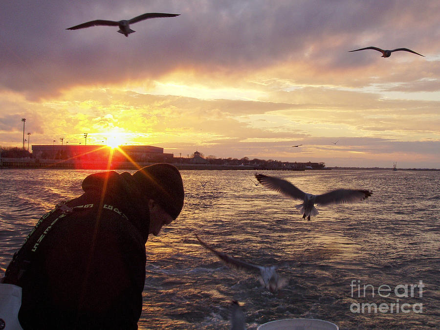 First Mate Filleting Fish with Seagulls Watching Photograph by John Telfer