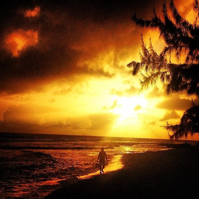 First Night In Barbados. Beautiful Photograph by Elizabeth Farrell