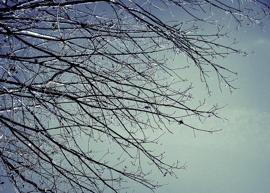 First of Winter Photograph by Joseph Skompski