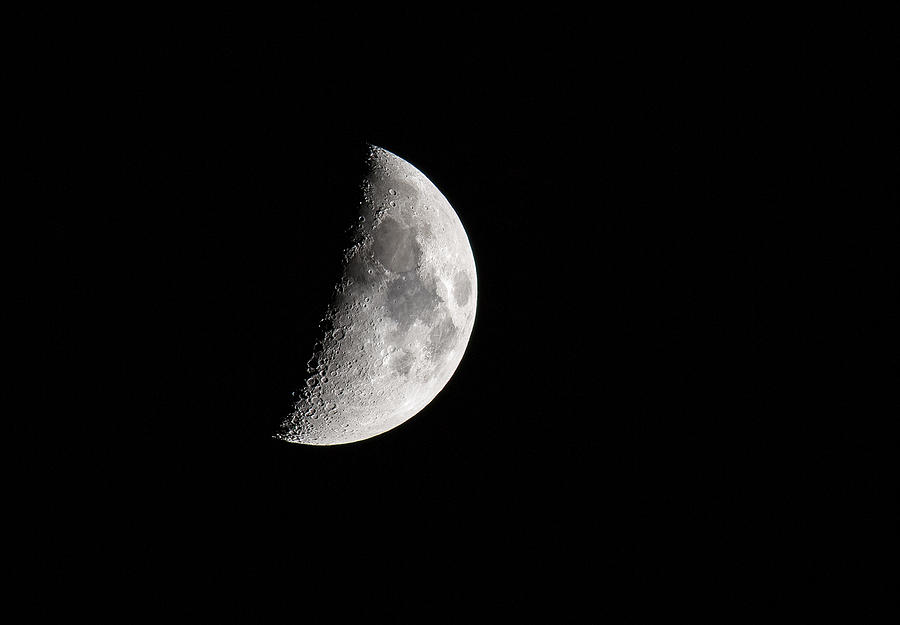 First Quarter Moon Photograph by Dale Kincaid